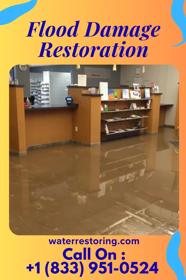 Flood Damage Restoration in Enfield, NC