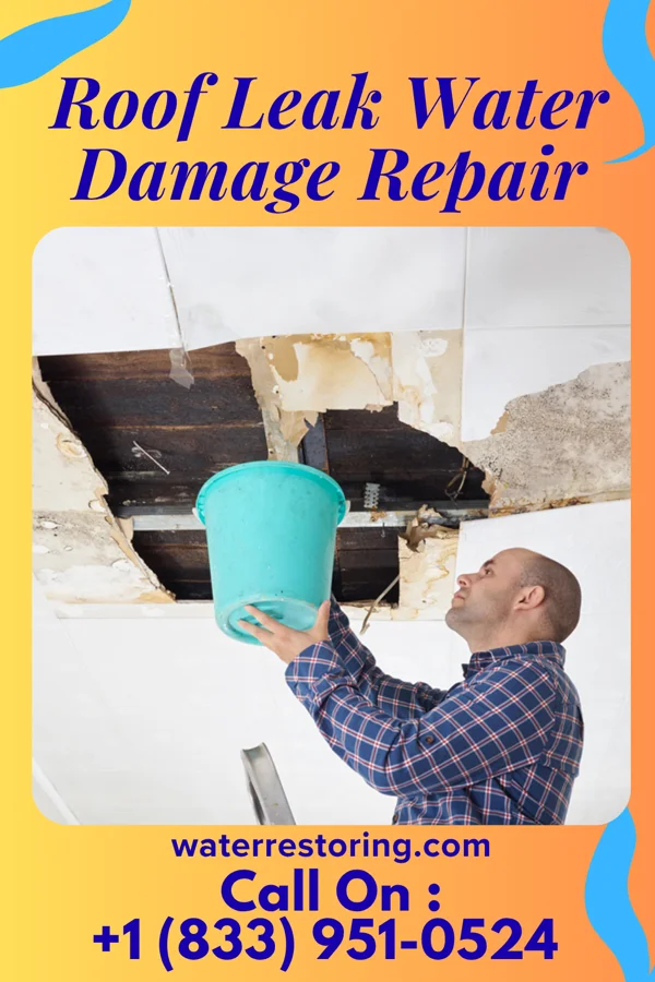 Roof Leak Water Damage Repair in Enfield, NC