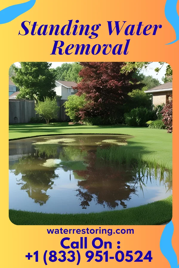 Standing Water Removal in Enfield, NC